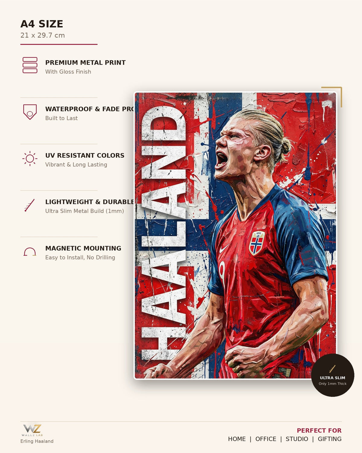 Erling Haaland Metal Poster - size and features