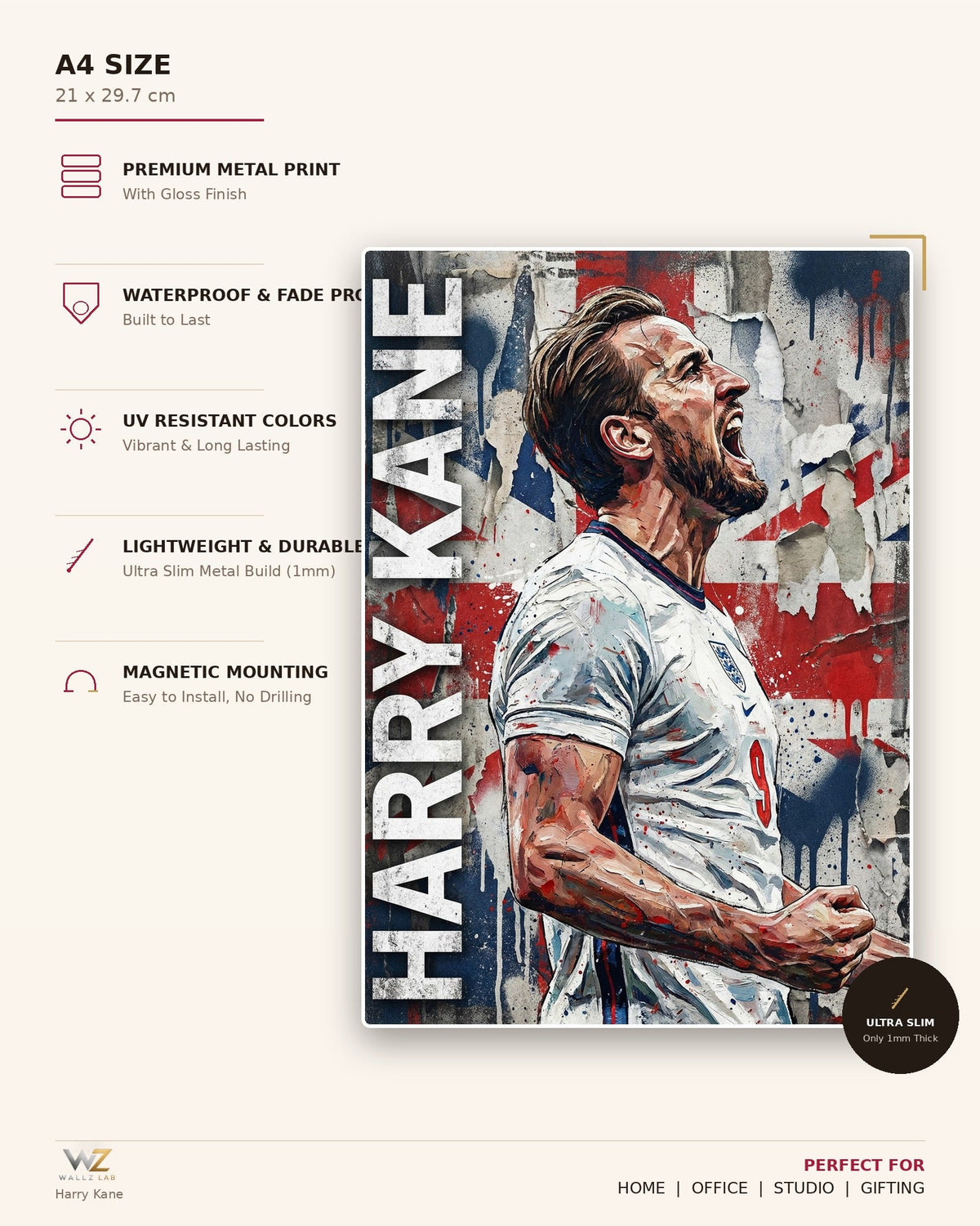 Harry Kane Metal Poster - size and features
