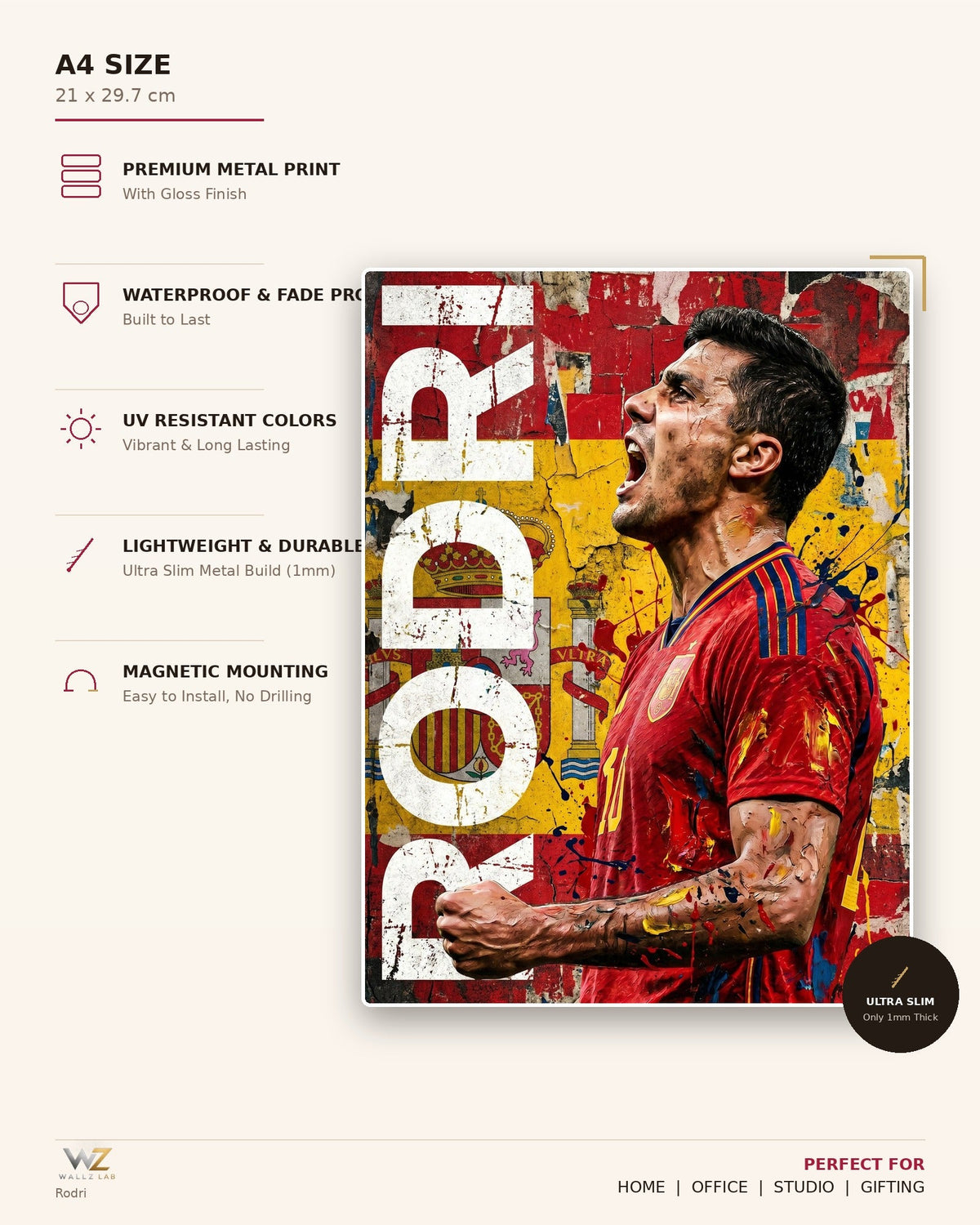 Rodri Metal Poster - size and features